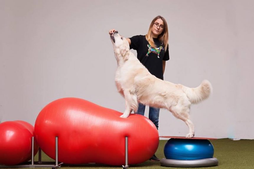 8 Ročný Kapuško :)